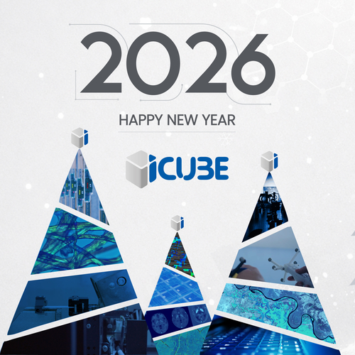 Voeux ICube 2026