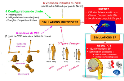 Méthodologie utilisée pour estimer le risque de traumatisme crânien encouru par l'utilisateur de trottinettes, gyropodes ou hoverboard en cas de chute