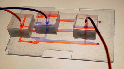 Xurography for 3D Microfluidic Biofuel Cell