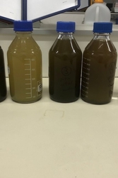 Article fertilisant img3