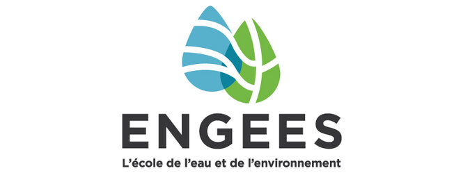 Logo ENGEES