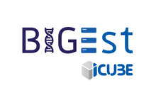 [Translate to English:] Logo plateforme BIGEst-ICube