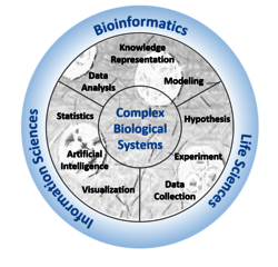 Schéma sur les activités de l'équipe Systèmes Complexes, Bioinformatique Translationnelle (CSTB) qui met l'accent sur trois sous thèmes : la bioinformatique, les sciences de l'information et de la vie